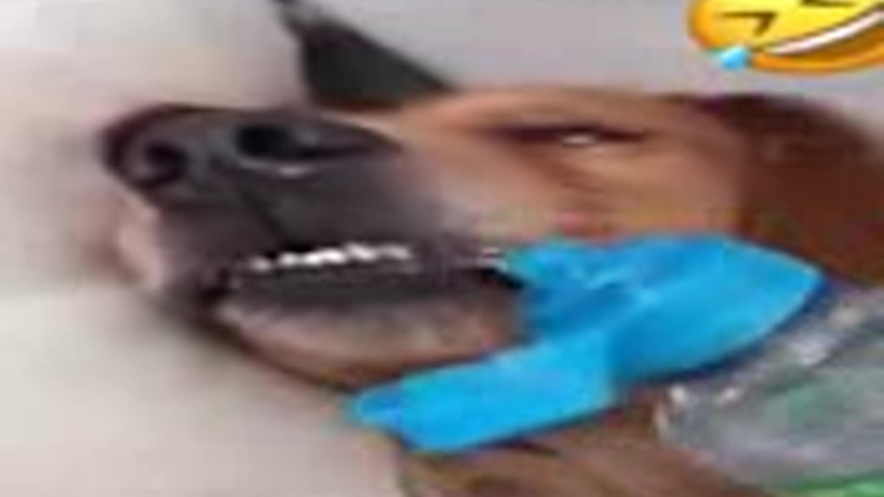 https://youtube.com/shorts/IN0T1kyvGi4?feature=share