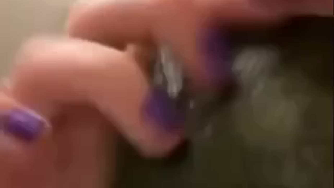 chick tries to kiss a turtle
