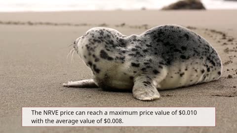 Narrative Price Prediction 2023, 2025, 2030 NRVE Cryptocurrency Price Prediction