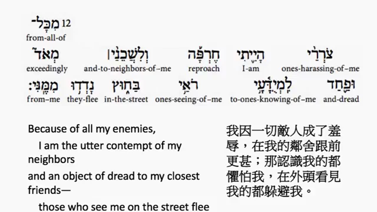 psalm 31 in hebrew _ salmo 31 en hebreo