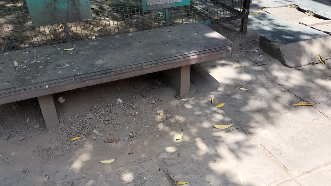 DDA market