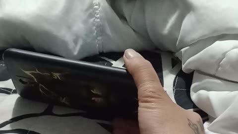 HEAVY METAL TESLA 🤘😻