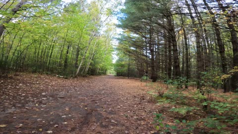 🍂 Welcome To Pinhey Forest Trail Part 2 In Ottawa 🍁🍂 Fall Edition 🌿🍀🍃🥬