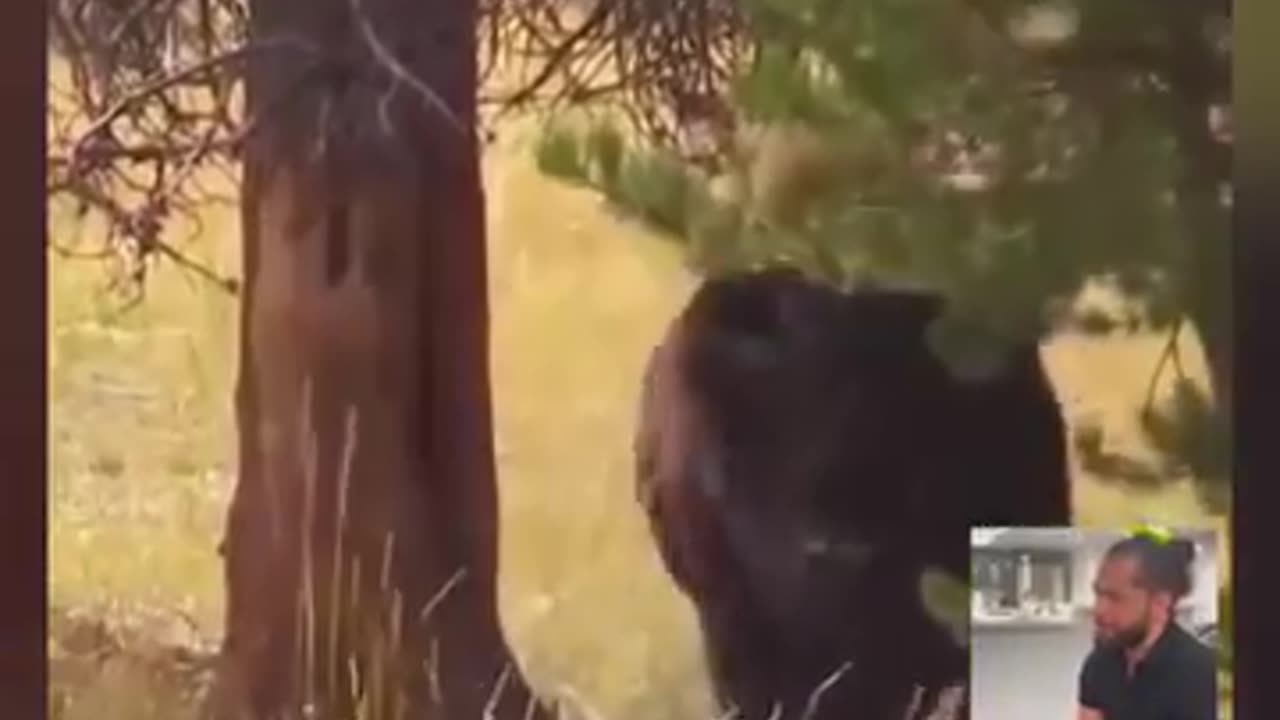 Stop Messing With The Animals