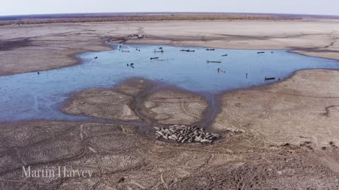 Climate Change and Drought. The Dying Lake of Lake Ngami, Botswana