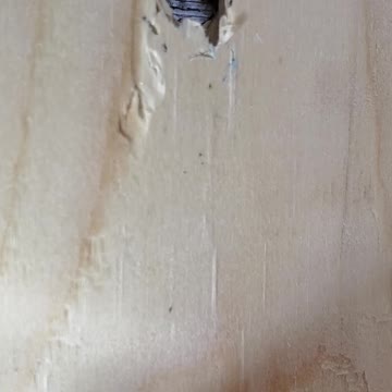 Tiny spider comes out of its hiding place