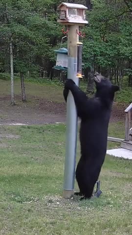 So close yet so far 🤣