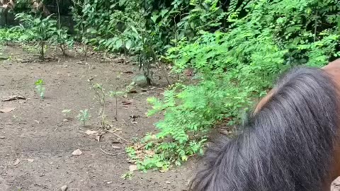 Zoo
