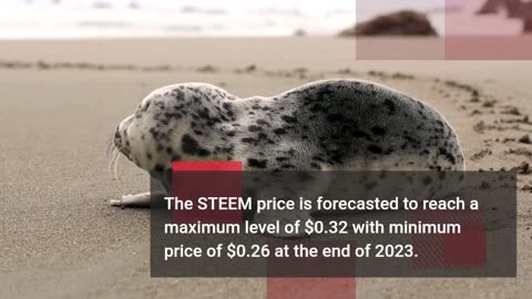 Steem Price Forecast FAQs