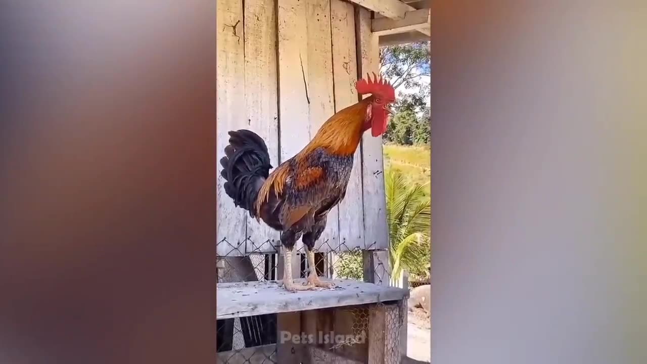 Fun 😊