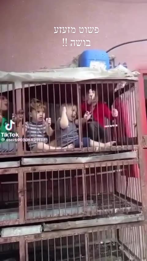 ISRAEL IS UNDER ATTACK - The True Face of Palestinians!