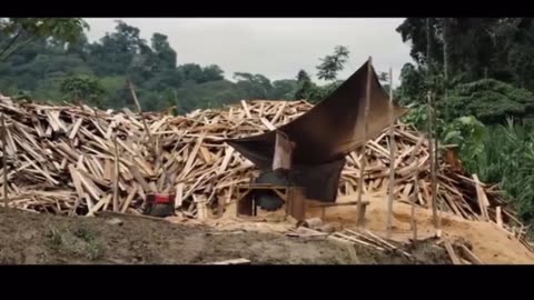 Demand for balsa wood (turbine blades) is causing deforestation in the Amazon