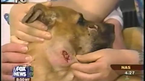 April 23, 2003 - "Miracle Dog" is Featured