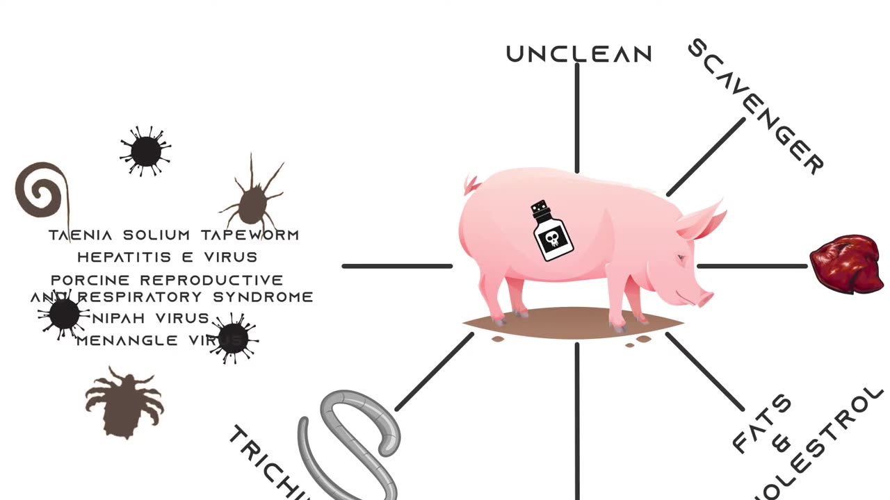 Why Pork is bad for you? Religion and Science| CheapKnowledge