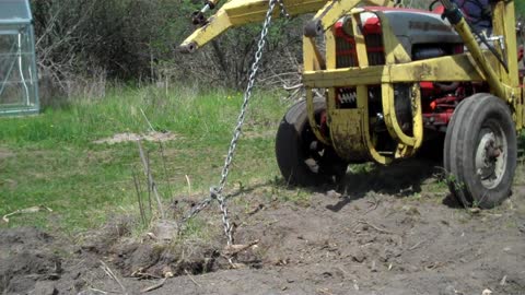 Ford 841 Powermaster Tractor Ep20: Plucking Bushes with the 724 Loader