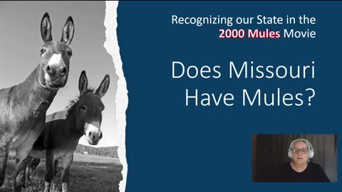 Does Missouri Have Mules - Take 2