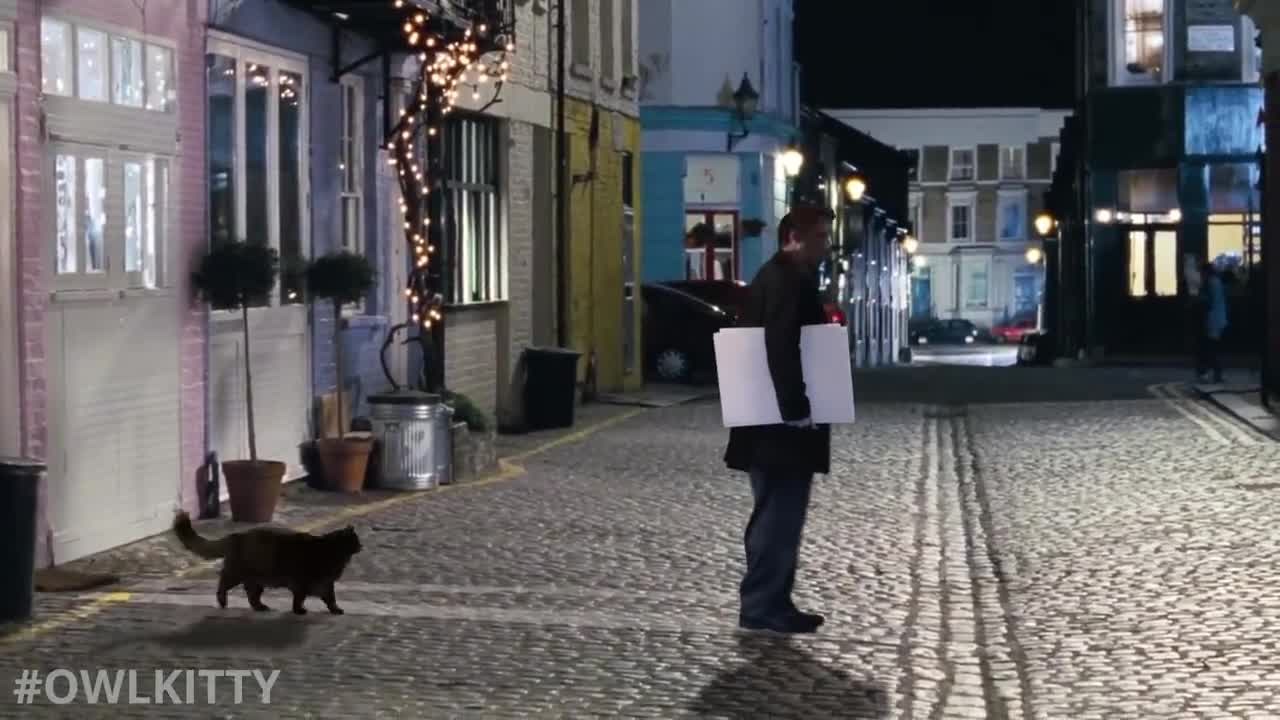 Love Actually but with a cat (OwlKitty Parody)