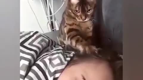 wake up human