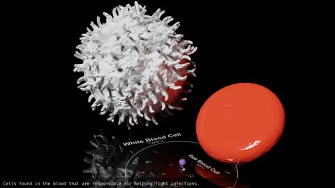 Universe Size Comparison 3D I 2022