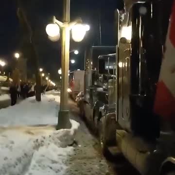 Judge in Ottawa bans honking for ten days