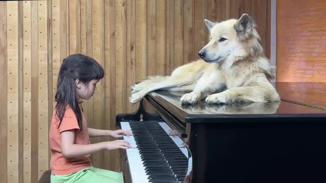 'Moon River' on Piano for Sharky the Dog