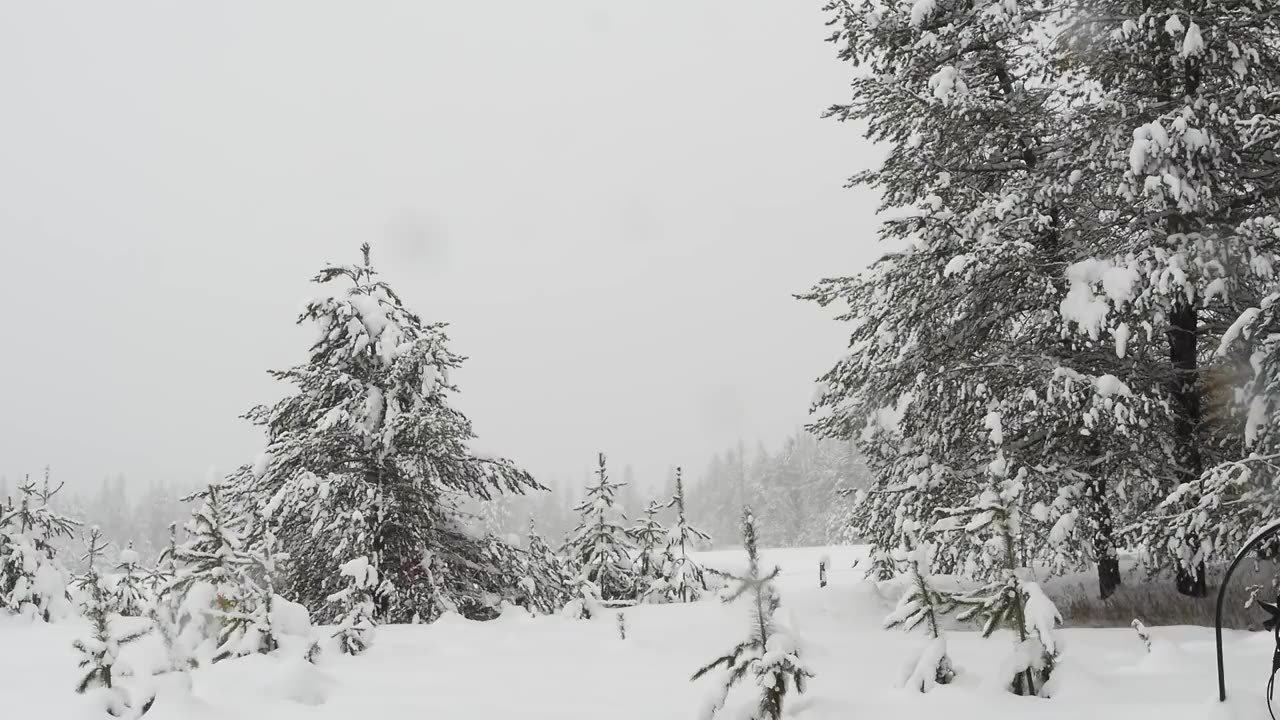 Peaceful Calm Piano Relaxing Music with Soft Winter Snow Background Scene