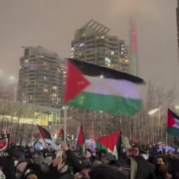 "New Year's Turmoil: Pro-Hamas Supporters Disrupt Toronto's NYE Celebrations"