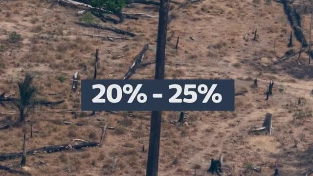 Could Brazil's election result save the rainforest? | ITV News