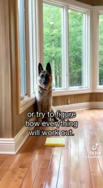 NOWHERE in the Bible does it say....