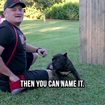 How to EASILY Teach Your Dog to Roll Over