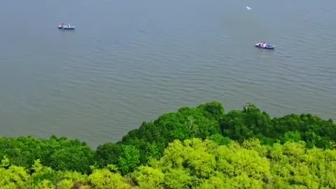 Scenic Aerial View of Village Pichavaram in Indian State of Tamil Nadu