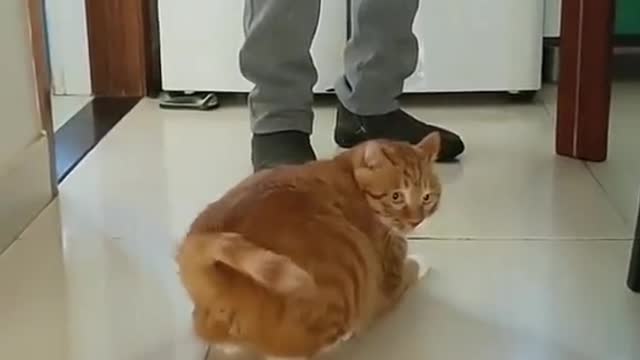 wait till the end...