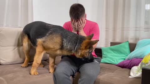 German Shepherd Puppy Reaction to Me Crying