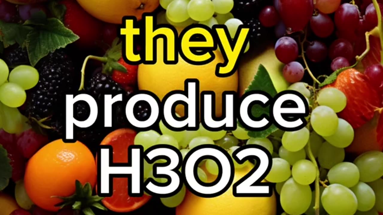 EVERYTHING THEY TOLD U ABOUT WATER TO HYDRATE YOUR BODY IS A LIE