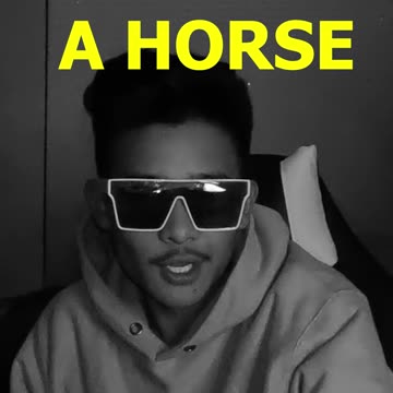 Have you rode a horse? Drink!!