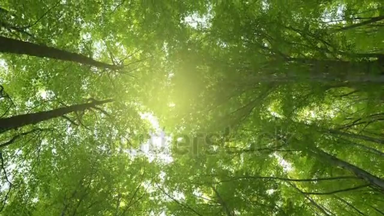 Miday sun