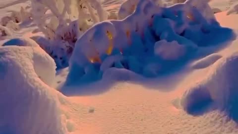 MORNING PRAYER 🙏💙🙏