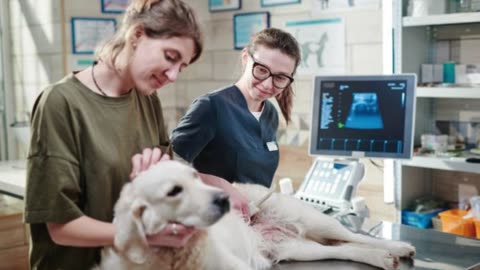 Understanding Canine Ultrasound: What Pet Owners Need to Know