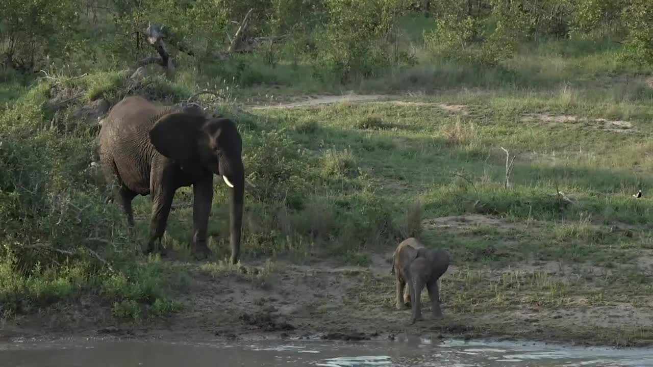 Playing with the Big Boys