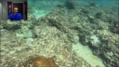 A Reef Healing Beautifully in Jasaan, Misamis Oriental