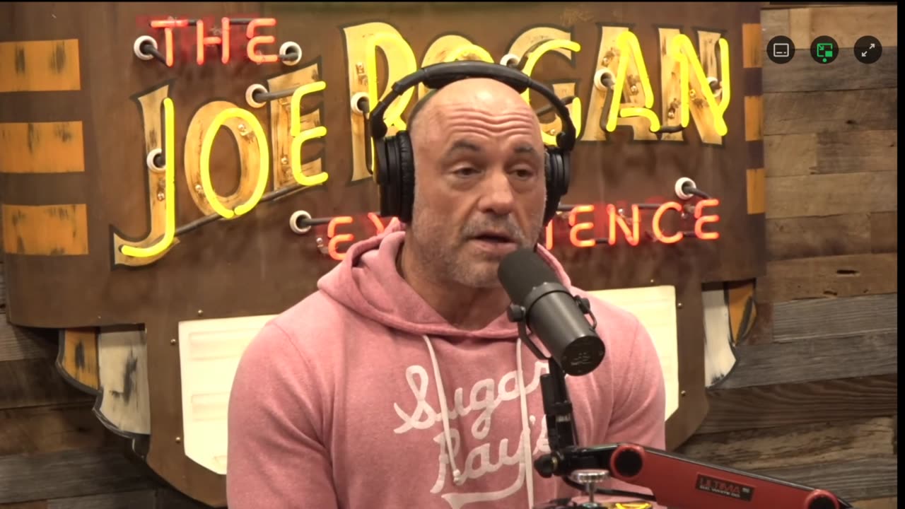 Joe Rogan & Brett Weinstein Interview