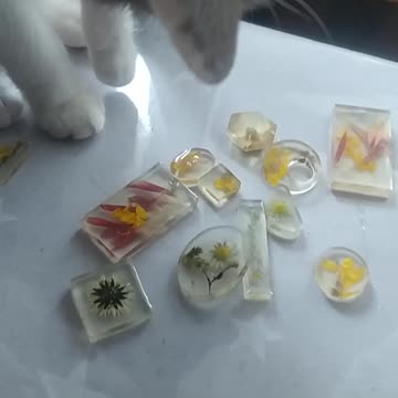 My assistant Enola helps me with resin jewelry ;-)