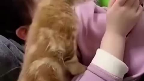 Cute cat watching cartoon with little girl.