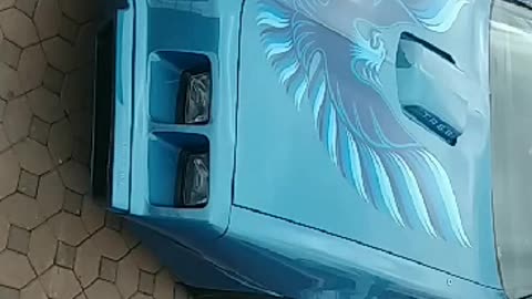 Awesome lifestyle