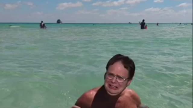 The Miss D Sanchez meme