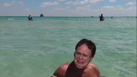 The Miss D Sanchez meme