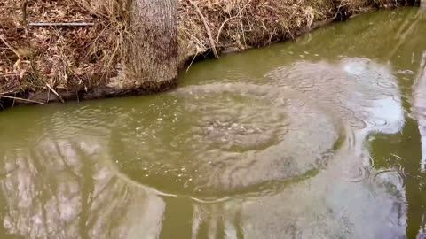 The water in East Palestine Ohio, they tried to claim it was clean