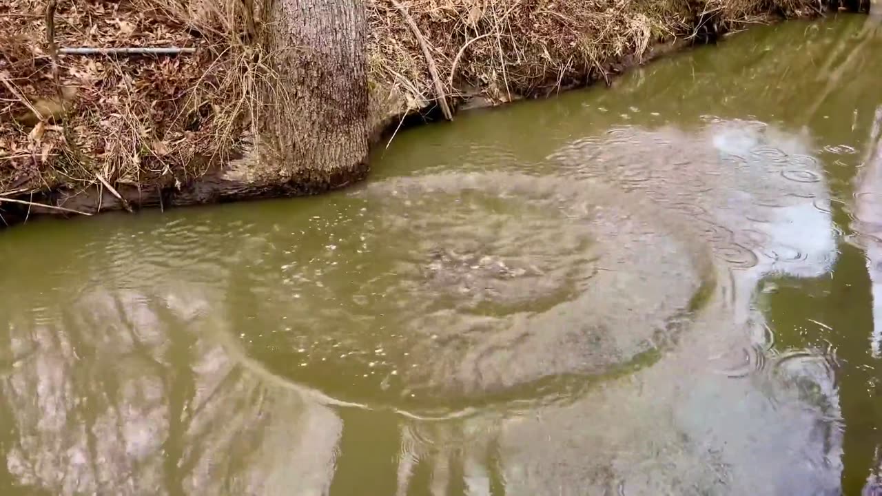 The water in East Palestine Ohio, they tried to claim it was clean