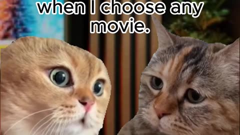 Two cat memes