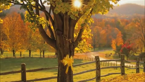 yellow ribbon